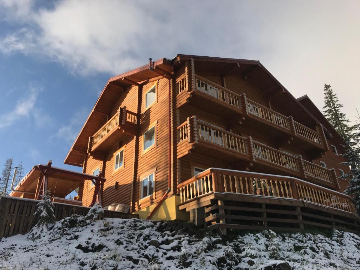 Alpin Eco Chalet & Wellness Dragobrat Exterior photo