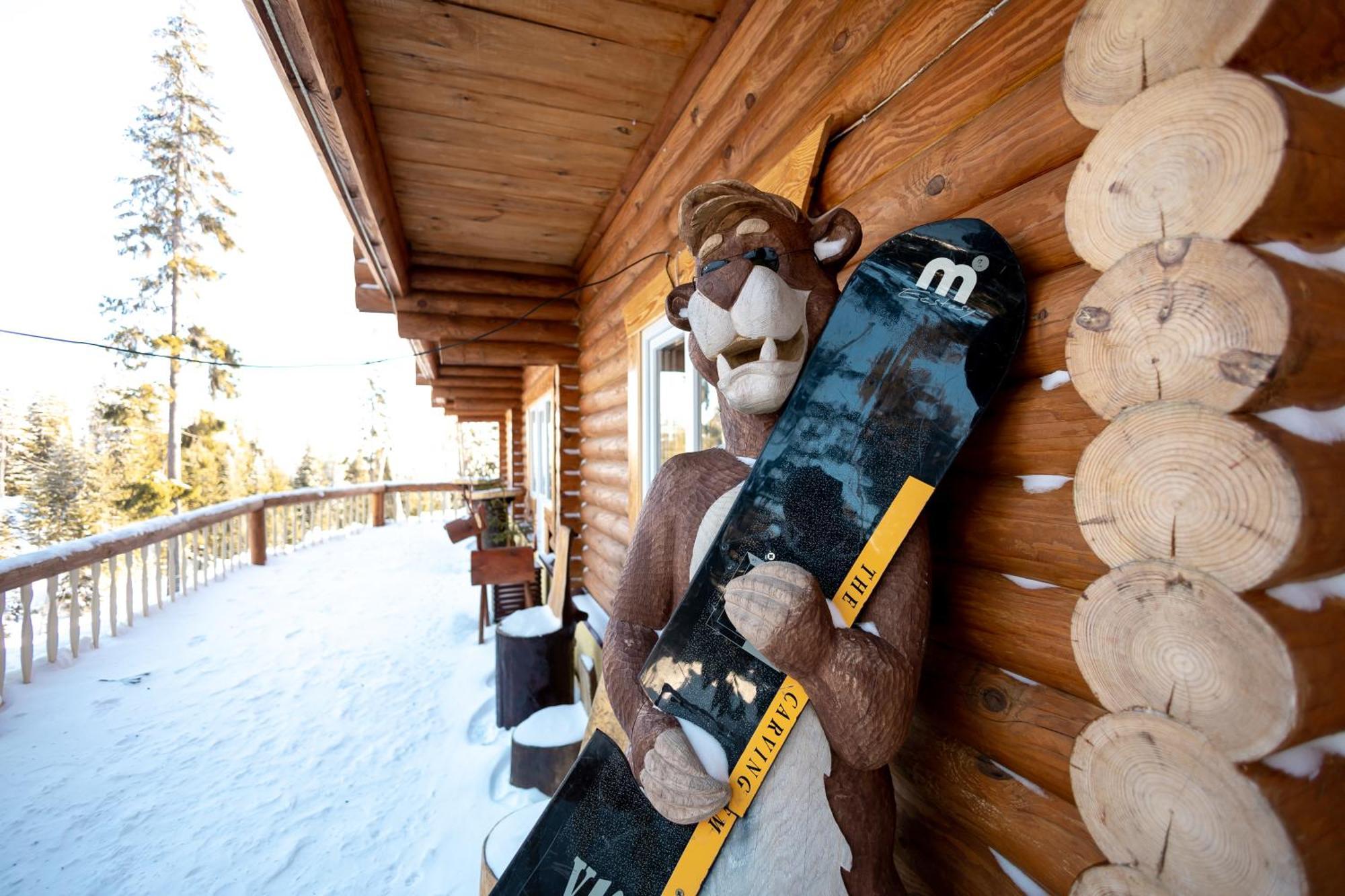 Alpin Eco Chalet & Wellness Dragobrat Exterior photo
